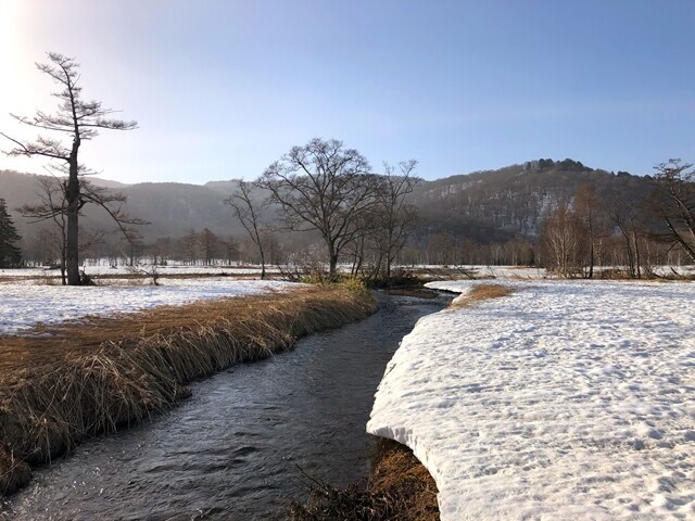尾瀬ヶ原の川