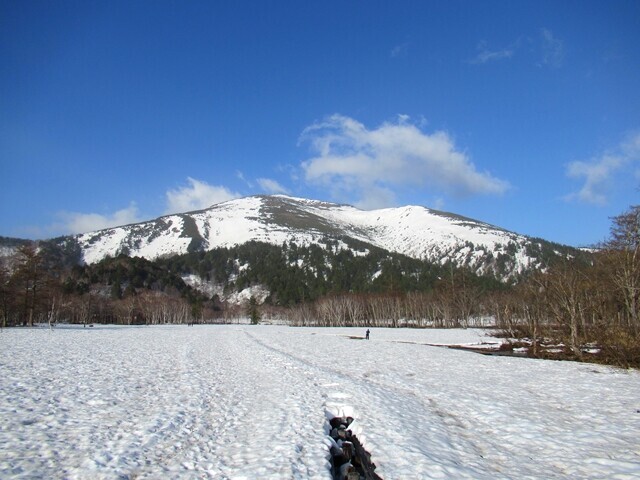 尾瀬ヶ原から振り返っての至仏山
