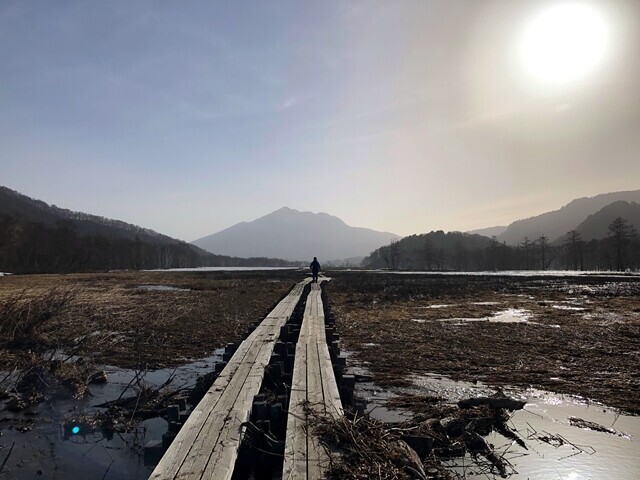 燧ヶ岳へ延びる尾瀬ヶ原の木道