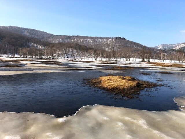 尾瀬ヶ原の池塘