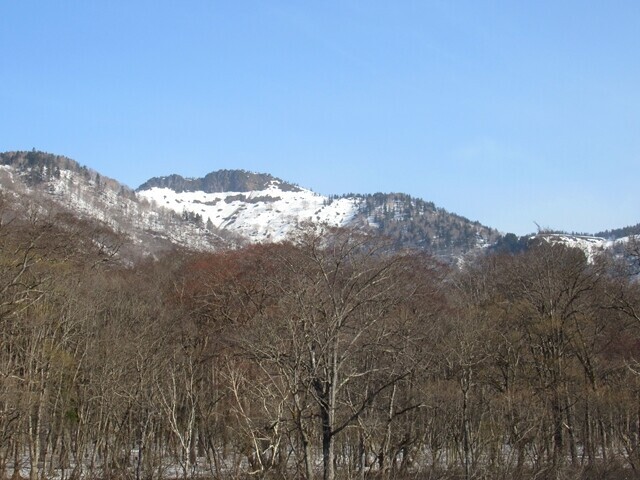 目指す景鶴山山頂