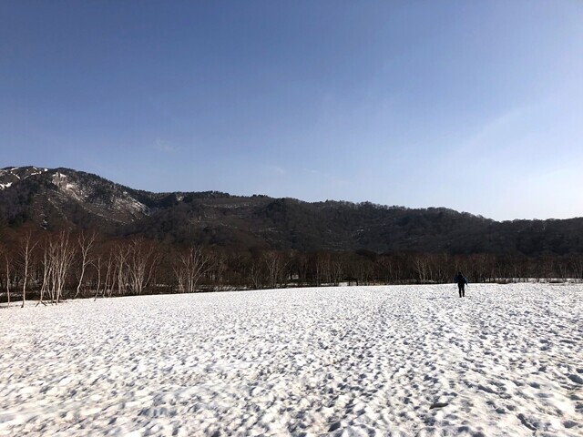大雪原の景色であった尾瀬