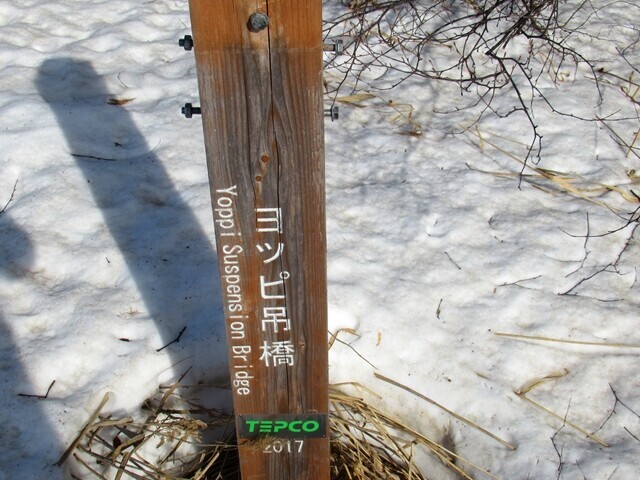 ヨッピ吊橋残雪期の様子