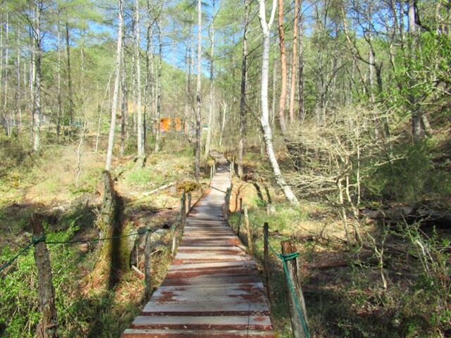 守屋山水吞場までのルートの様子