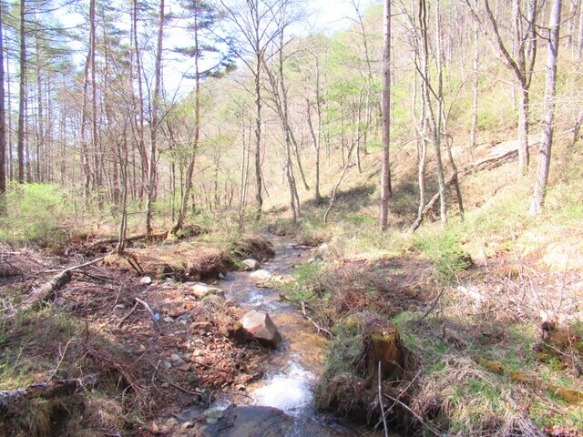 水吞場近くの沢