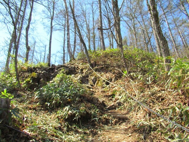 守屋山東峰までのルートの様子