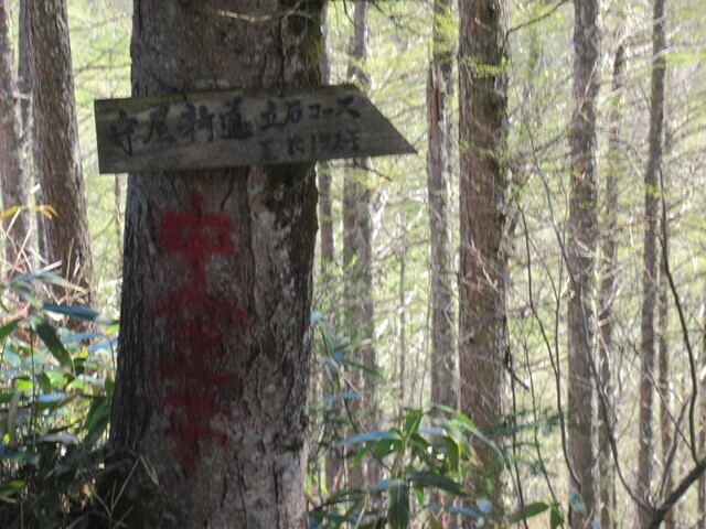 守屋山杖突峠ルートと立石コースの分岐点
