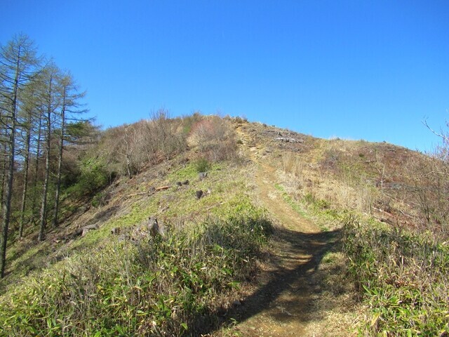 守屋山の頂上直下の景色