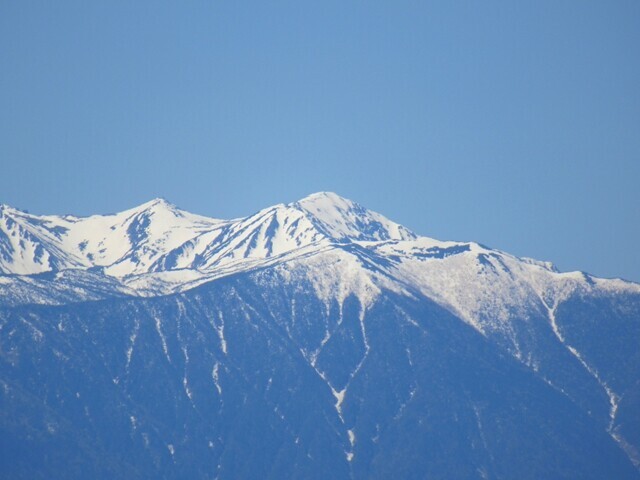 中央アルプスの稜線を守屋山から見た様子