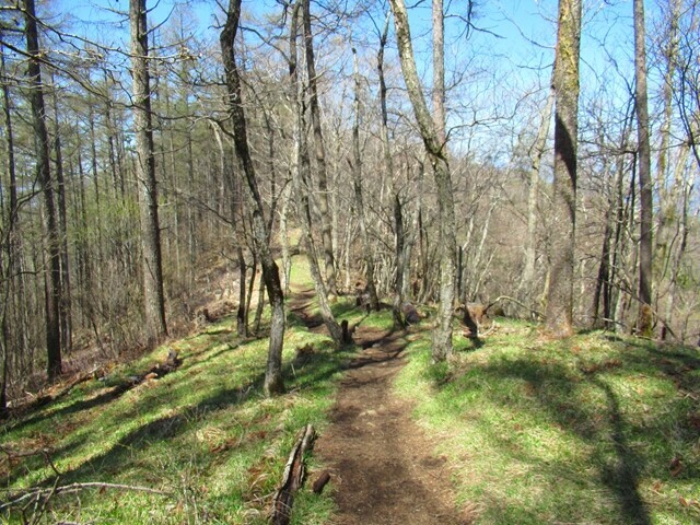 守屋山中嶽から西峰迄の登山コースの様子