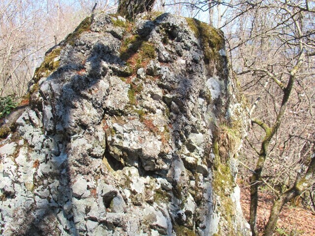守屋山登山コースにある立派な岩