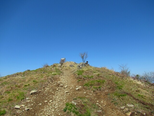 ラビットハウスから守屋山の山頂景色