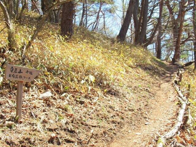 守屋山松尾峠登山コース二股になるルート
