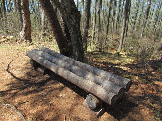 守屋山松尾峠登山コースのベンチ