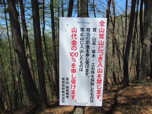 松尾峠周辺は松茸等の茸が採れる