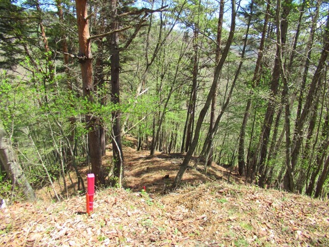 松尾峠へのクラシックルート入口