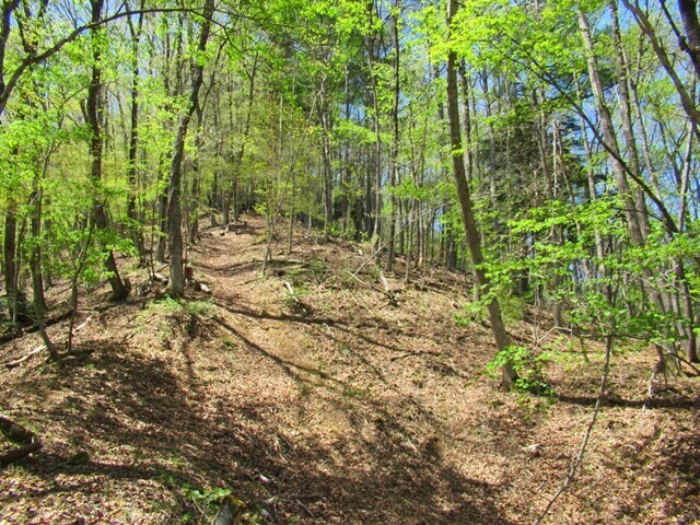 松尾峠を振り返っての写真