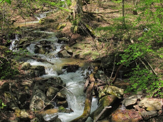 守屋山松尾峠の沢の様子