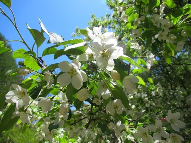 守屋山杖突峠駐車場を目指して登山している様子