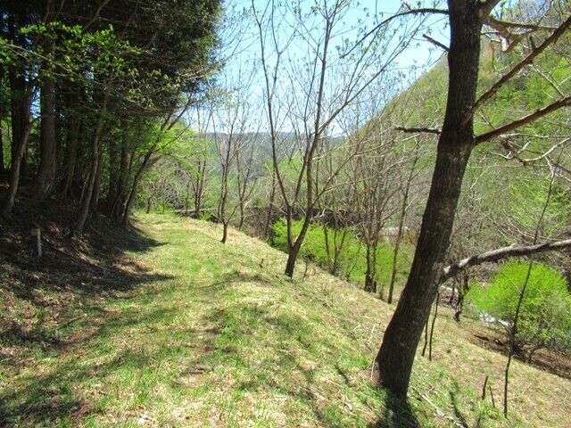 松尾峠沢沿いの土手道の様子