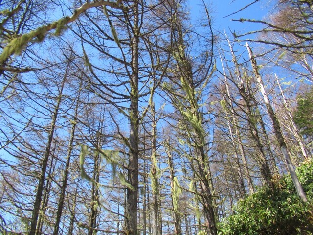 経ヶ岳７合目から左記の仲仙寺登山ルート