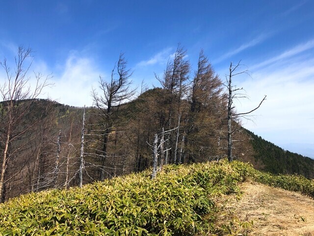 ８合目から見る経ヶ岳山頂方向の景色