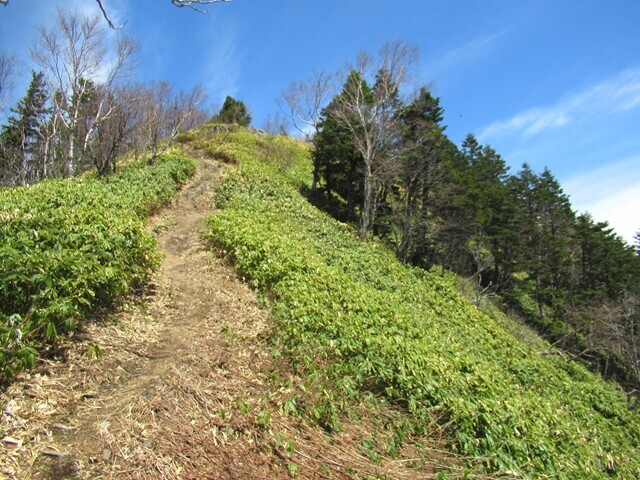 経ヶ岳仲仙寺登山ルート急登箇所