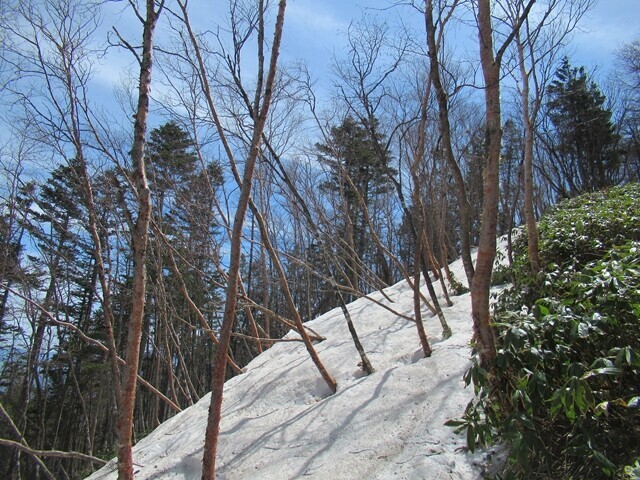 経ヶ岳９合目登山ルート上の積雪