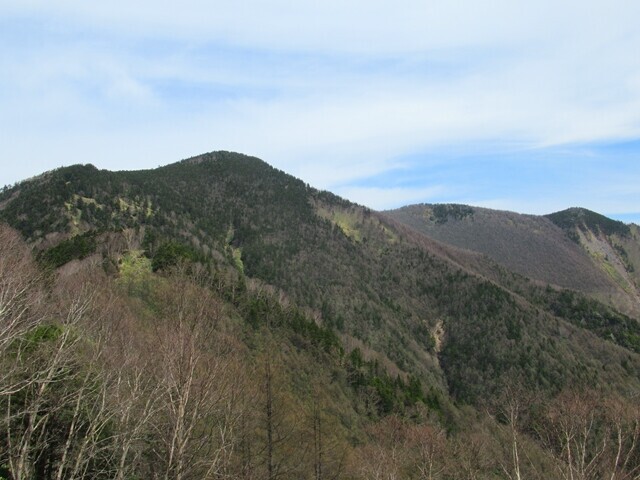 権兵衛峠登山ルートから振り返って経ヶ岳山頂景色