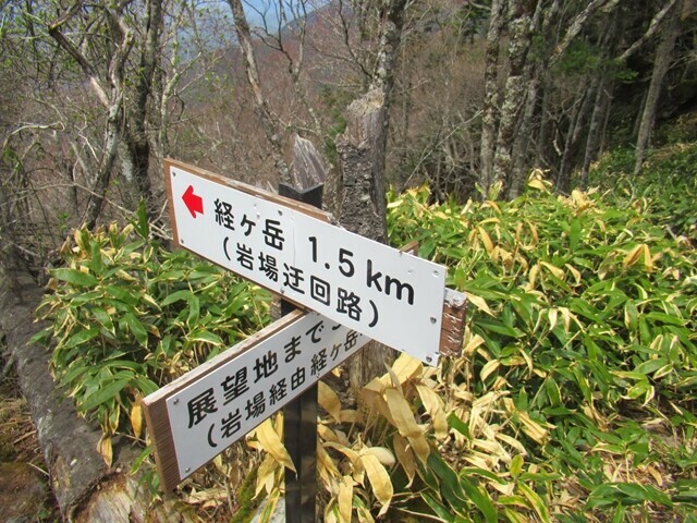 権兵衛峠登山ルート岩コース・巻道コー分岐の看板