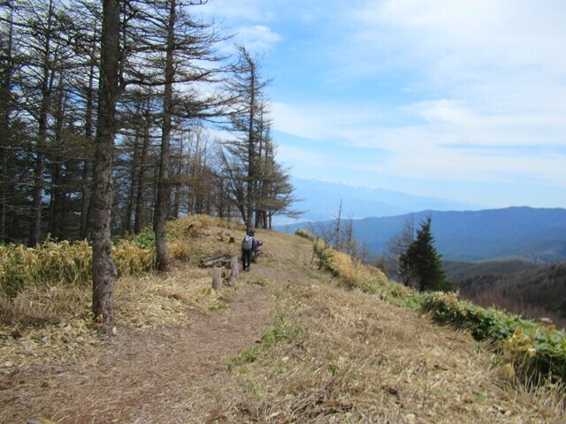 権兵衛峠からの経ヶ岳登山道