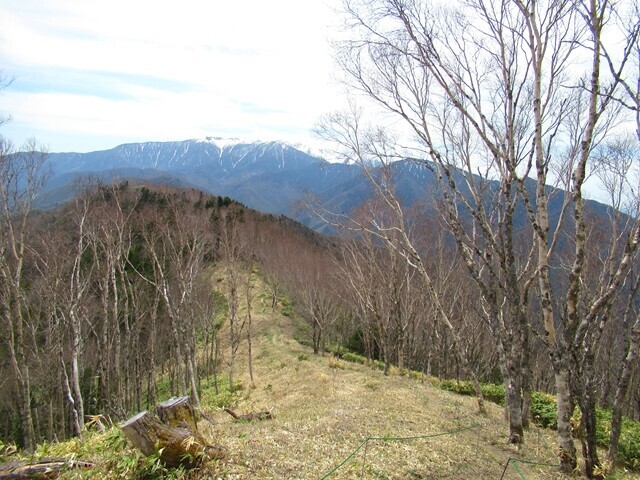 解放感がある権兵衛峠登山ルートの様子