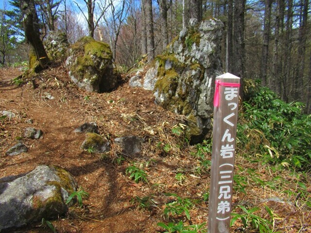 権兵衛峠登山ルートの見所であるまっくん岩