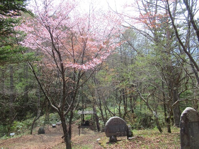 権兵衛峠(旧道)