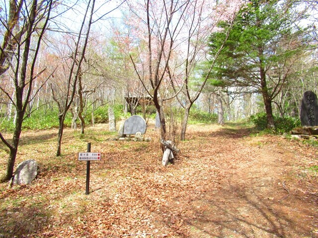 権兵衛峠は雰囲気が良く休憩に最適