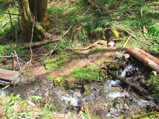 米の道権兵衛峠登山ルートの登山道の様子