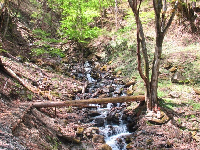 米の道権兵衛峠登山ルートの沢沿いの道