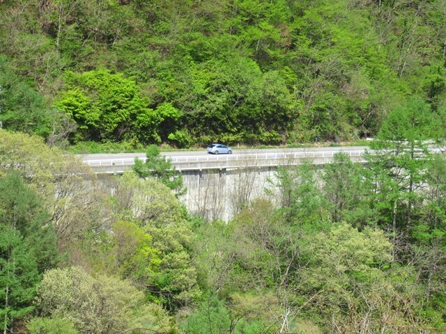 権兵衛街道の車