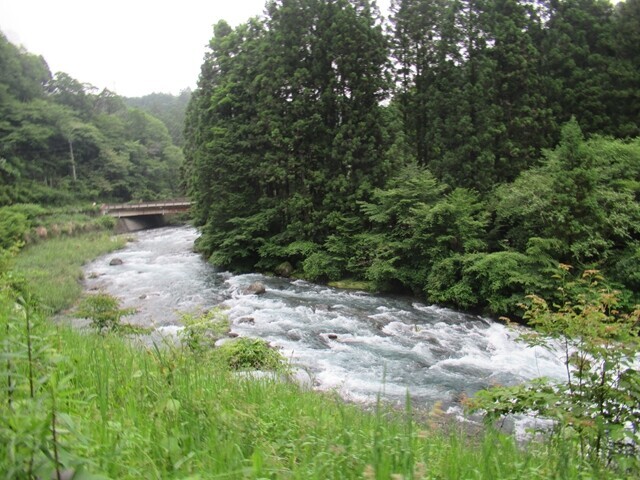 田貫湖から道の駅朝霧までコースの川沿いの景色