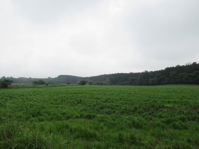 コース上に牧場が見えた場所