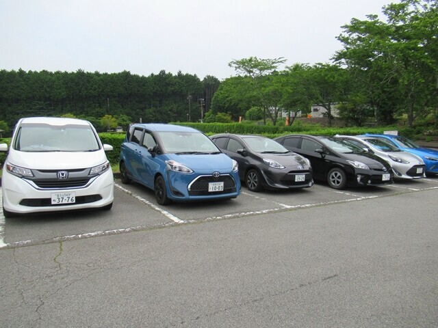 富士山樹空の森の駐車場に停まっている車の様子