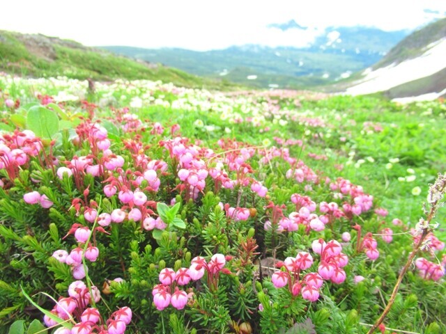 北海岳までの登山ルート様子