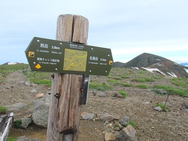 旭岳・裏旭キャンプ指定地と北海岳分岐