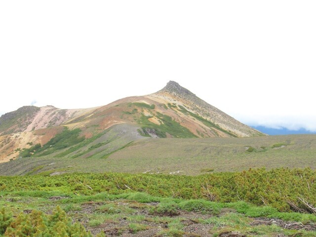 白雲岳避難小屋へのルート上から烏帽子岳景色