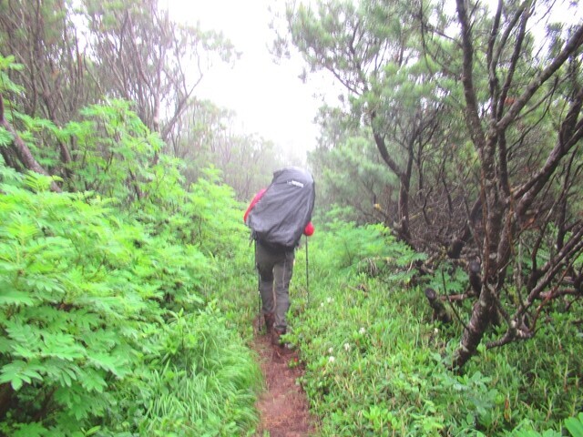 五色岳登山道の様子