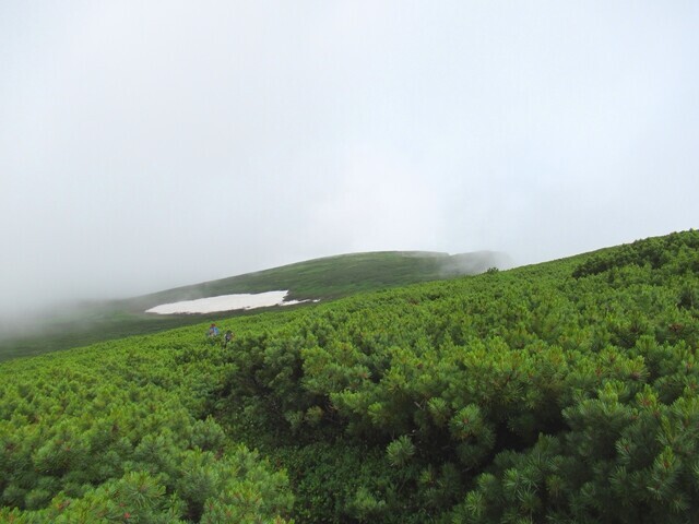 化雲岳への登山ルート