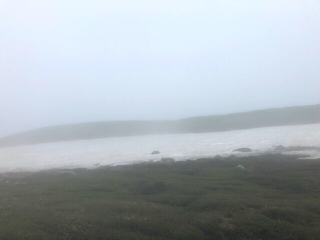 化雲岳登山道の景色