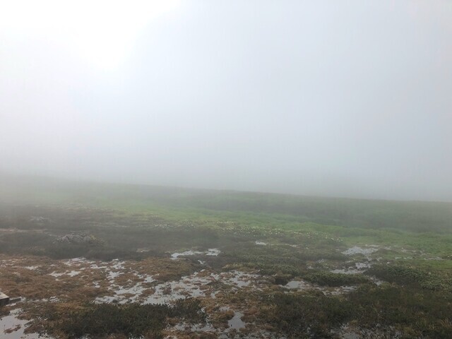 化雲岳登山コースからの景色