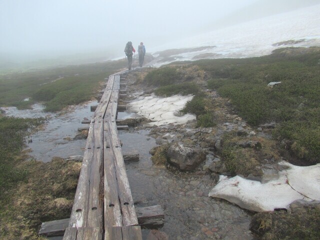 緩やかな白雲岳の木道歩き
