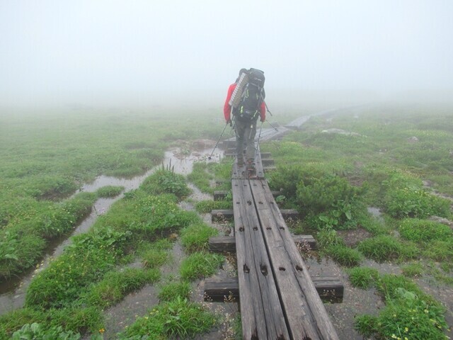 化雲岳のお花畑